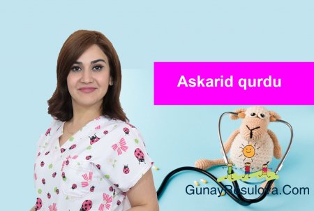 Askarid qurdu (ASCARİS LUMBRİCOİDES)